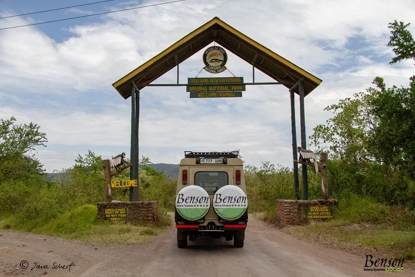 Day Trip Safari - Arusha Nationalpark